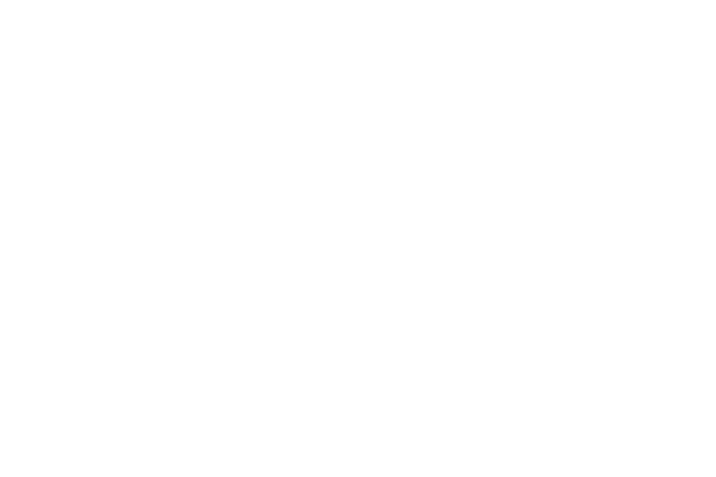 d10_logo
