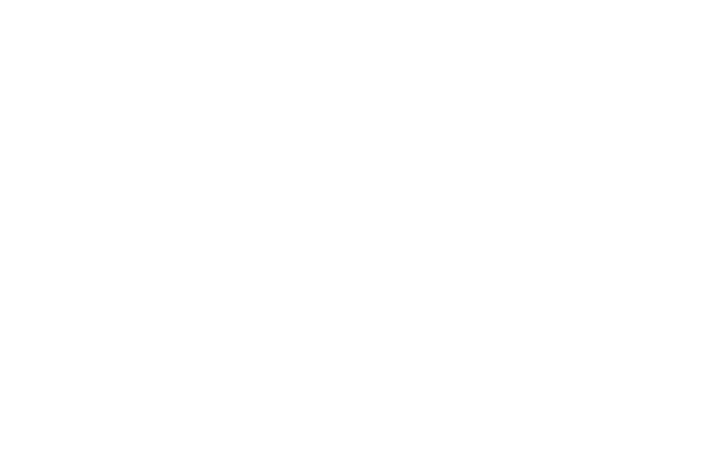 dabei_1