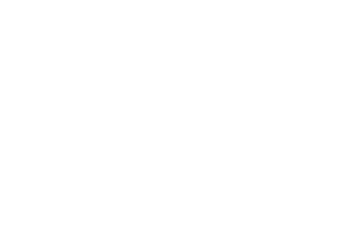 dom_logo